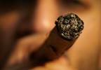 Cigar and Pipe Use Significantly Increase Mortality Risk Cigar and Pipe Use Significantly Increase Mortality Risk