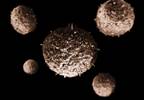 Larotrectinib: Promising for All TRK-Positive Tumors Larotrectinib: Promising for All TRK-Positive Tumors