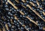Acai Berry and Cancer Acai Berry and Cancer