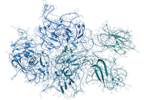 Molecular Testing May Prevent Unnecessary Treatment of Suspicious for Malignancy Thyroid Nodules Molecular Testing May Prevent Unnecessary Treatment of Suspicious for Malignancy Thyroid Nodules