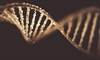 No Single Gene Seems to Drive Renal Cell Carcinoma Metastasis No Single Gene Seems to Drive Renal Cell Carcinoma Metastasis