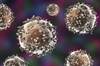 Early Success Gives Hope for CAR T-Cell Therapy in Multiple Myeloma Early Success Gives Hope for CAR T-Cell Therapy in Multiple Myeloma