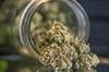 Cannabis and Cancer Cannabis and Cancer