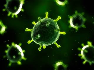 Emerging evidence shows that injecting tumors directly into one tumor can trigger systemic antitumor immunity and immune attacks on untreated tumors elsewhere in the body. Emerging evidence shows that injecting tumors directly into one tumor can trigger systemic antitumor immunity and immune attacks on untreated tumors elsewhere in the body.