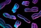 Understanding Telomerase: Higher Quality Images Give Insight Into Developing New Agents for Inhibition Understanding Telomerase: Higher Quality Images Give Insight Into Developing New Agents for Inhibition