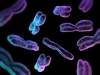 Understanding Telomerase: Higher Quality Images Give Insight Into Developing New Agents for Inhibition Understanding Telomerase: Higher Quality Images Give Insight Into Developing New Agents for Inhibition