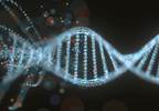 Liquid Biopsies and Cancer Detection: New Test Assesses Levels of Circulating Proteins for Early-Stage Diagnosis Liquid Biopsies and Cancer Detection: New Test Assesses Levels of Circulating Proteins for Early-Stage Diagnosis