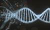 Liquid Biopsies and Cancer Detection: New Test Assesses Levels of Circulating Proteins for Early-Stage Diagnosis Liquid Biopsies and Cancer Detection: New Test Assesses Levels of Circulating Proteins for Early-Stage Diagnosis