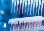 Next-Generation Sequencing Adds Value by Detecting More Mutations Than Polymerase Chain Reaction in Melanoma Next-Generation Sequencing Adds Value by Detecting More Mutations Than Polymerase Chain Reaction in Melanoma
