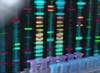 BRCA Status Could Inform Pancreatic Cancer Management BRCA Status Could Inform Pancreatic Cancer Management