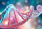 Study Reveals Scope of Genomic Variation Within Cancer Cell Lines Study Reveals Scope of Genomic Variation Within Cancer Cell Lines