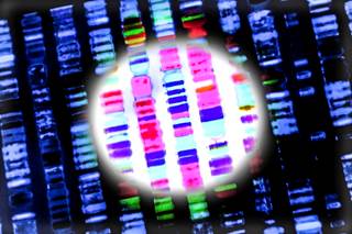 Results from the largest metastatic ILC series in which matched primary tumor and metastases samples were interrogated. Results from the largest metastatic ILC series in which matched primary tumor and metastases samples were interrogated.