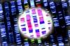 Genetic Testing and Cancer Genetic Testing and Cancer