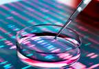 Clues from DNA Repair Mechanisms Could Drive Novel Therapeutic Strategies Clues from DNA Repair Mechanisms Could Drive Novel Therapeutic Strategies