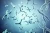 Progressive Telomere Shortening: An Epigenetic Biomarker of Chronic Myeloid Leukemia Progressive Telomere Shortening: An Epigenetic Biomarker of Chronic Myeloid Leukemia