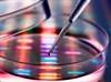 MSKCC Risk Stratification Model in RCC Updated to Include Genomic Information MSKCC Risk Stratification Model in RCC Updated to Include Genomic Information