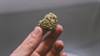 Synthetic or Plant-Based Cannabis for Symptom Relief in Patients With Cancer: Do We Have Any Evidence? Synthetic or Plant-Based Cannabis for Symptom Relief in Patients With Cancer: Do We Have Any Evidence?
