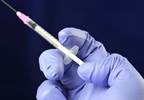 As HPV-Related Cancer Rates Climb, Experts Scrutinize Barriers to HPV Vaccination As HPV-Related Cancer Rates Climb, Experts Scrutinize Barriers to HPV Vaccination