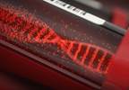 Using ctDNA to Predict Cancer Recurrence and Guide Therapy Selection Using ctDNA to Predict Cancer Recurrence and Guide Therapy Selection