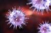 Tackling EBV-Associated Lymphoma: Early Research Finds Overall Survival Benefit After Donor Transplants Tackling EBV-Associated Lymphoma: Early Research Finds Overall Survival Benefit After Donor Transplants