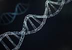 Preexisting Immunity to CRISPR-Cas9: A Problem for Gene Editing in Cancer? Preexisting Immunity to CRISPR-Cas9: A Problem for Gene Editing in Cancer?