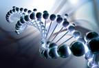 Gene-Delivery Method Generates Immune Checkpoint Antibodies In Vivo Gene-Delivery Method Generates Immune Checkpoint Antibodies In Vivo