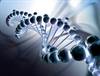 Gene Signature Predicts Outcomes in HPV-Related Oropharyngeal Cancers Gene Signature Predicts Outcomes in HPV-Related Oropharyngeal Cancers