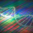 Exome Sequencing Opens a New Chapter in CKD Exome Sequencing Opens a New Chapter in CKD
