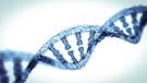 Q&A With Mark B. Gerstein, PhD, on Diagnostic Genomic vs Exomic Sequencing Q&A With Mark B. Gerstein, PhD, on Diagnostic Genomic vs Exomic Sequencing