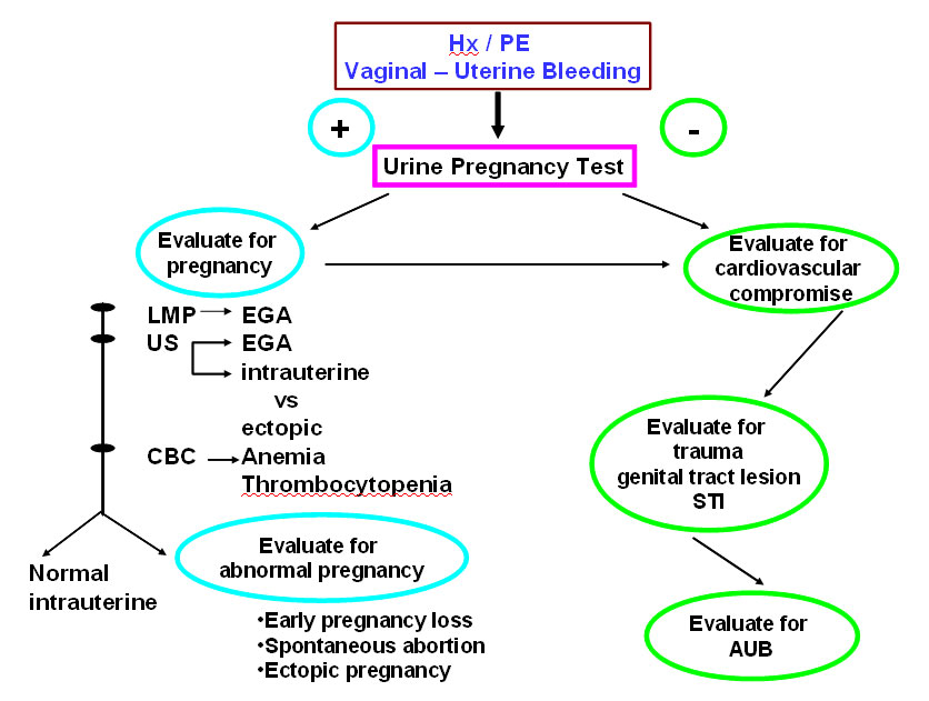 disordered-uterine-bleeding-cancer-therapy-advisor