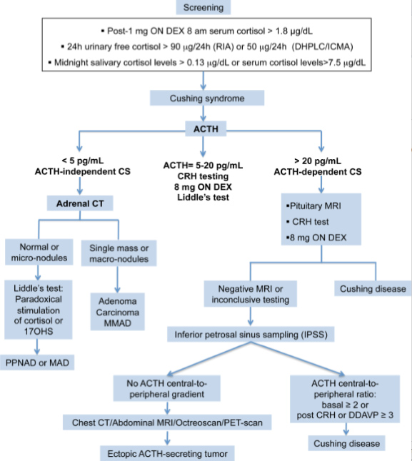 Cushing Syndrome - Cancer Therapy Advisor