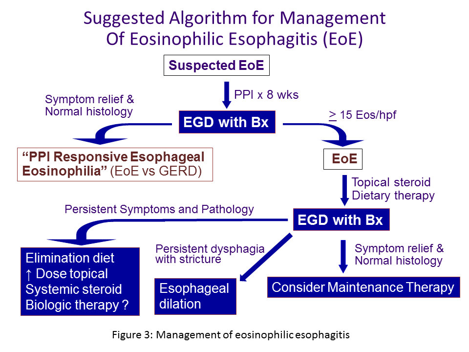 Eosinophilic esophagitis - Cancer Therapy Advisor