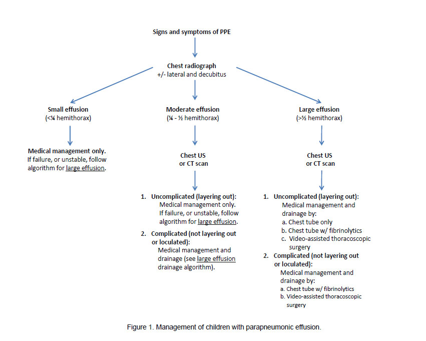 Can clindamycin treat pneumonia prostatitis