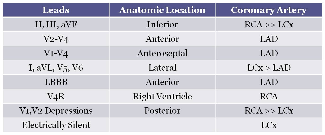 myocardial-infarction-cancer-therapy-advisor