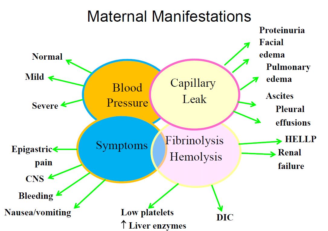 Gestational Hypertension Preeclampsia Cancer Therapy Advisor 4808