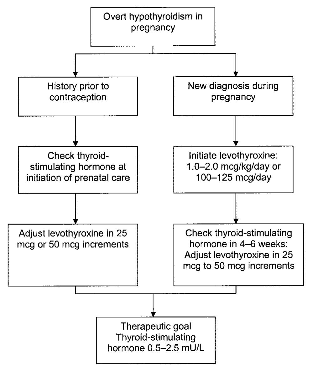 hypothyroidism-cancer-therapy-advisor